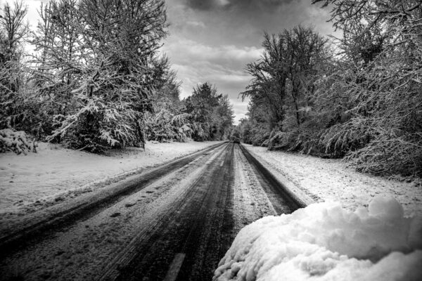 Fontainesnow – Route Enneigée dans la Forêt de Fontainebleau