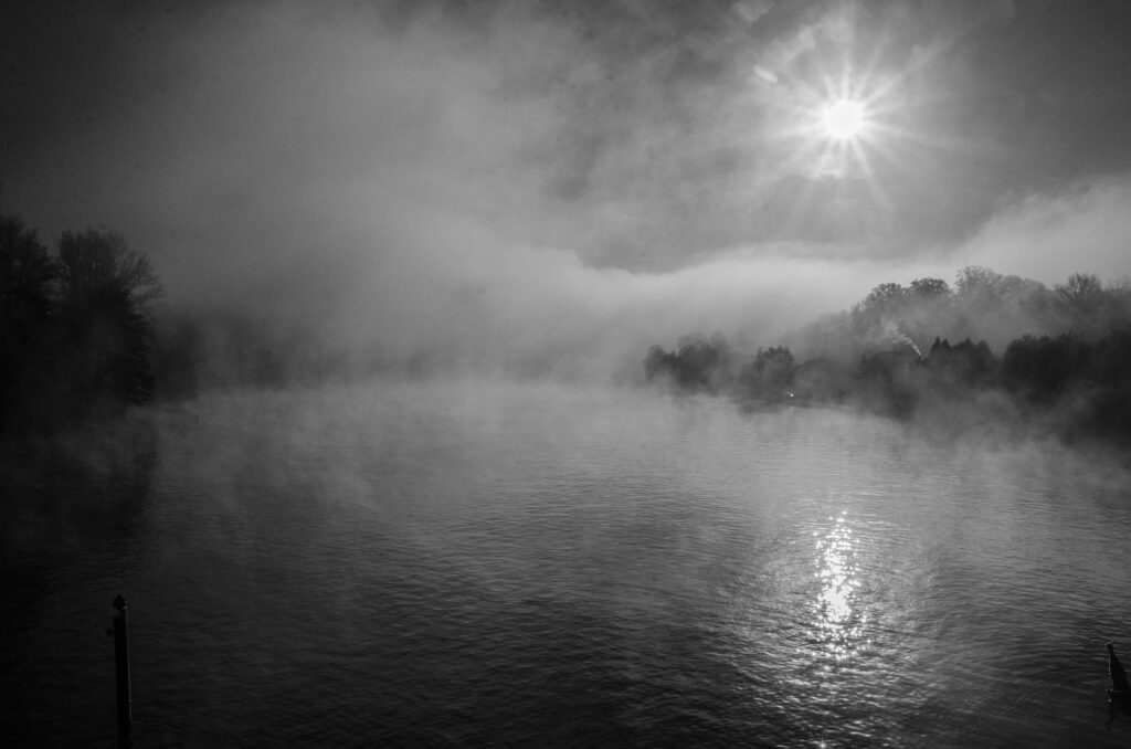 La seine et la brume enveloppante